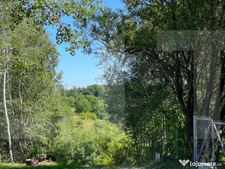Teren de vanzare in zona Casele Micesti - 3