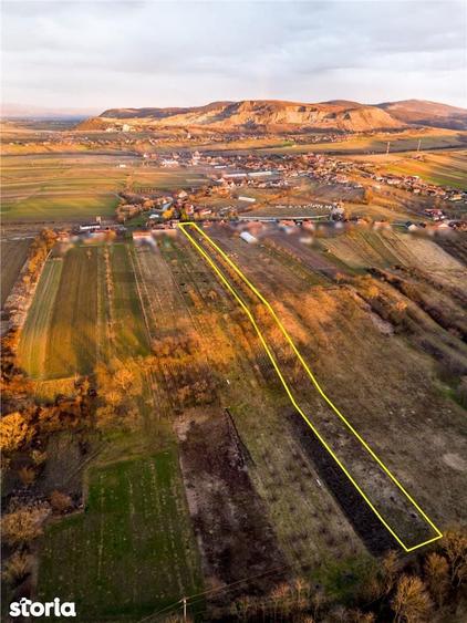 RECO Teren intravilan pentru loc de casa 5342 mp- sat.Hotar - 8