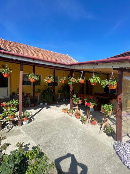 Casa de vanzare + teren 2.600 mp in Dragsina, aproape de Timisoara - 6
