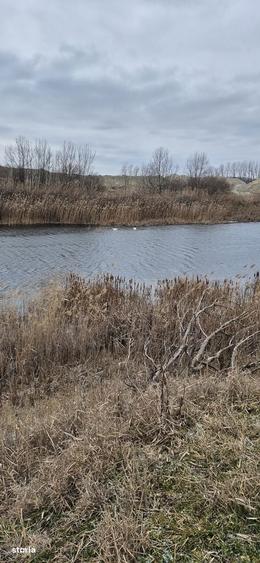 Teren extravilan plus luciu de apa - 7