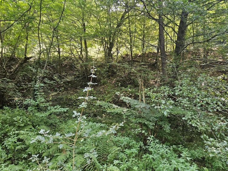 Vand teren Costesti, jud. Hunedoara - 1