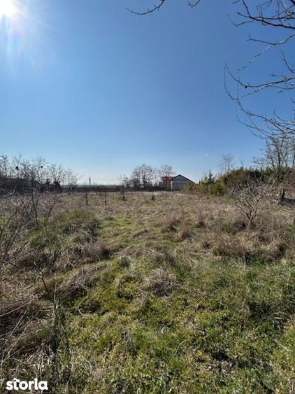 Vadu Corbu Teren superb 1000 mp investitie sau casa de vacanta - 3