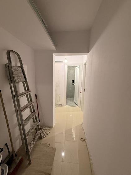 Doamna Ghica x Colentina - langa parcul plumbuita si parcul tei - 10