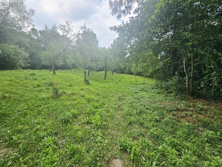 Teren intravilan de vânzare – 2.190 mp – Podu Vadului, Breaza - 6