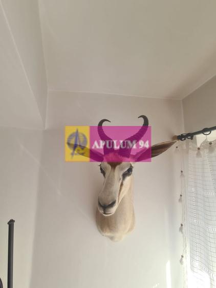 Vila de vanzare in Breaza - Zona Breaza de Sus - 37