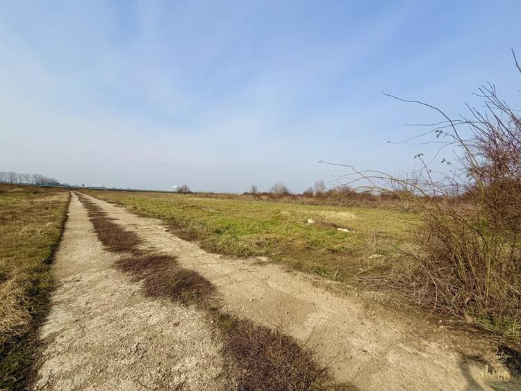 Teren industrial cu acces facil la Autostrada A3 - Calea Borsului - 2