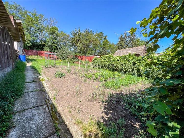 FILM! Locuinta contemporana si rafinata, inteligent organizata, Ilieni, Covasna - 36