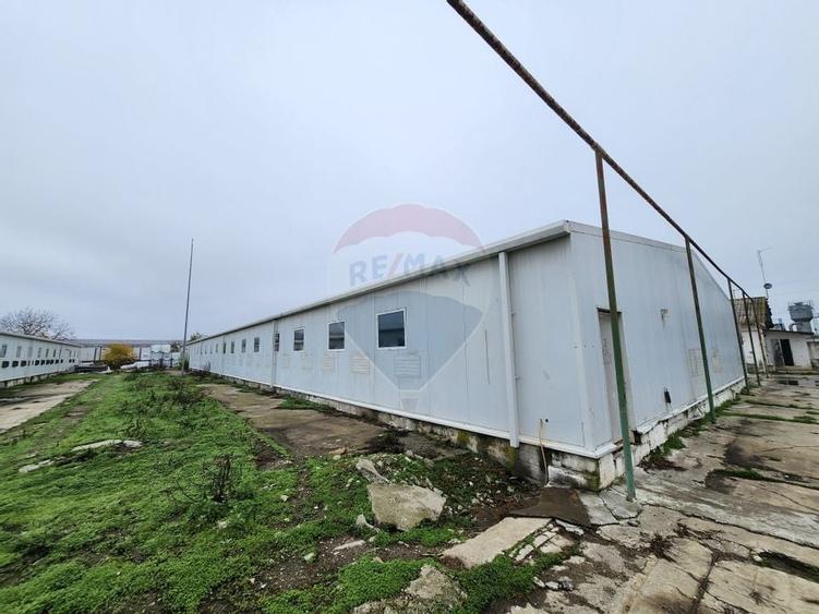 Hala depozitare sau productie Ciorogarla | Darvari 2.8 E/mp - 6