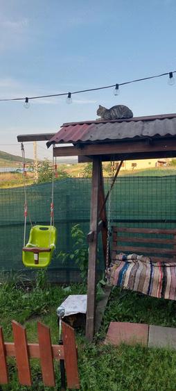 Vand casa Campenesti, Apahida - 4