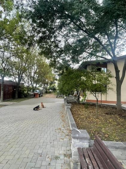 SE VINDE VILA CU DESCHIDERE LA LACUL SNAGOV LA CEL MAI MIC PRET - 6