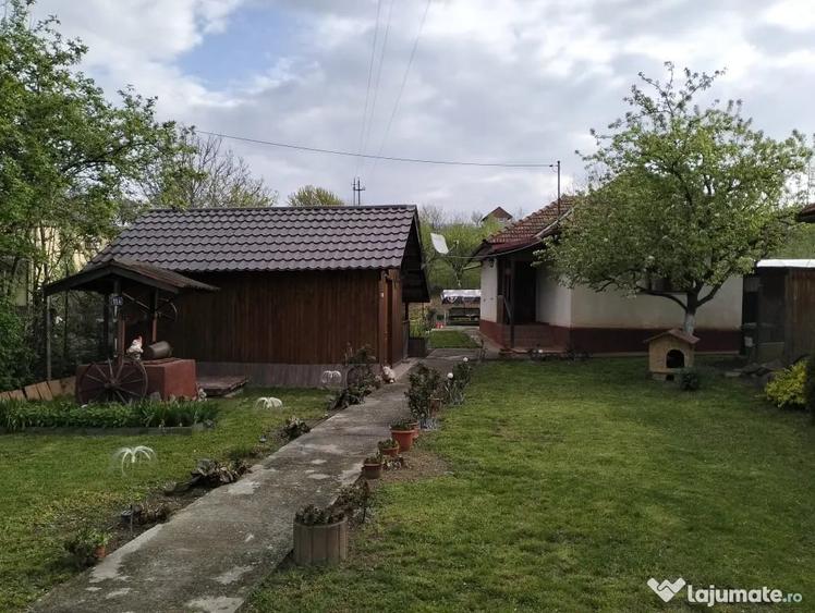 Casă cu 2 camere în Brănișca