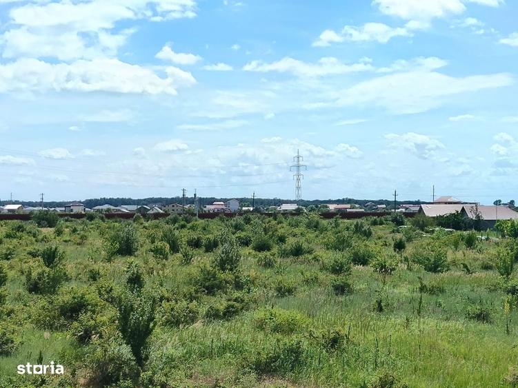 Teren intravilan,orasul Pantelimon,strada Plantelor si Gradinarilor - 1