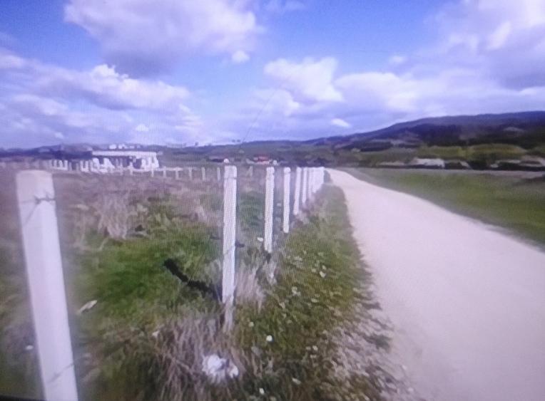 Teren agricol extravilan de 3900 mp, în Sud