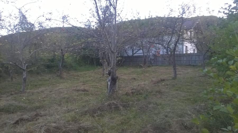 Teren intravilan de 720 mp, în Vlădești