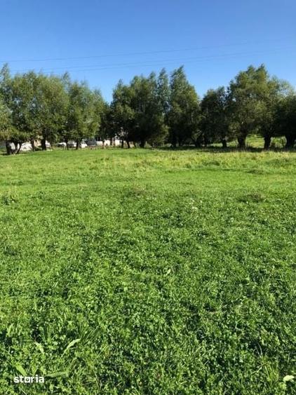 Teren de 1660 mp, în Central