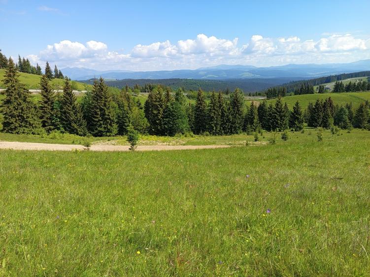 Spațiu comercial, în Piatra