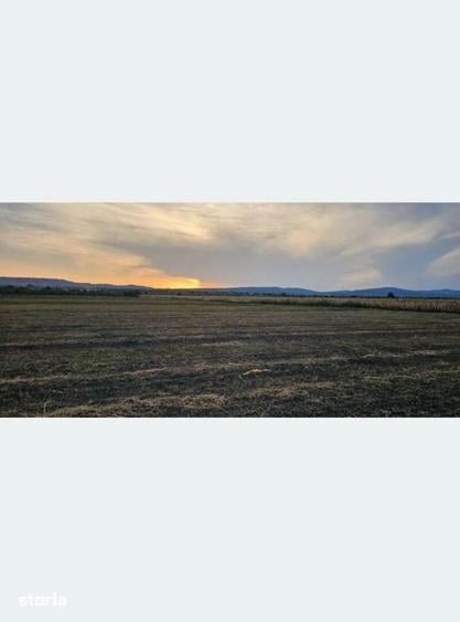 Teren de 12457 mp, în Vrancea