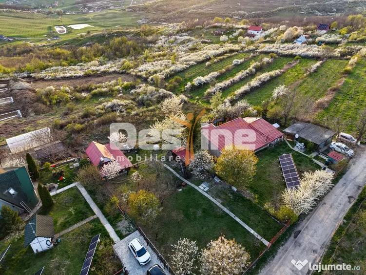 Teren în Central