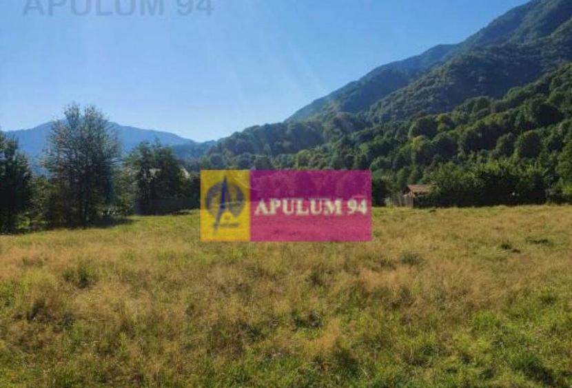 Teren Jude?ul Valcea - Brezoi, Valea lui Stan - 11