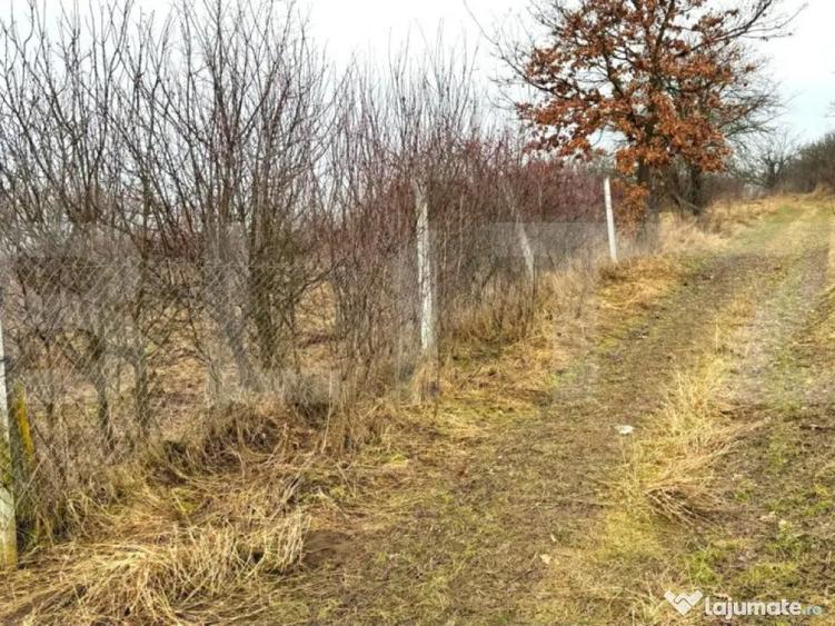 Teren extravilan de vanzare, Valea Budavului - 1