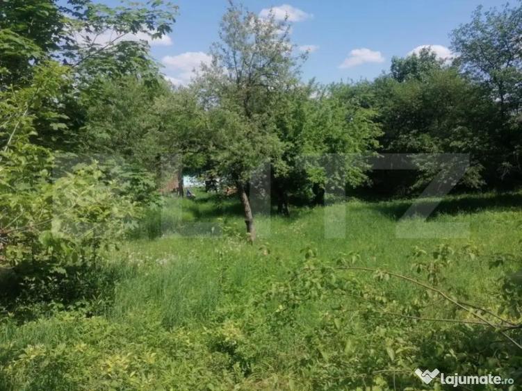 Teren intravilan, 4780 mp, zona Harbarie - 1