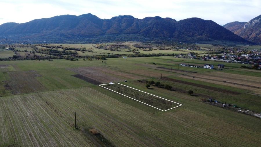 TEREN INTRAVILAN ZONA PENNY - 4