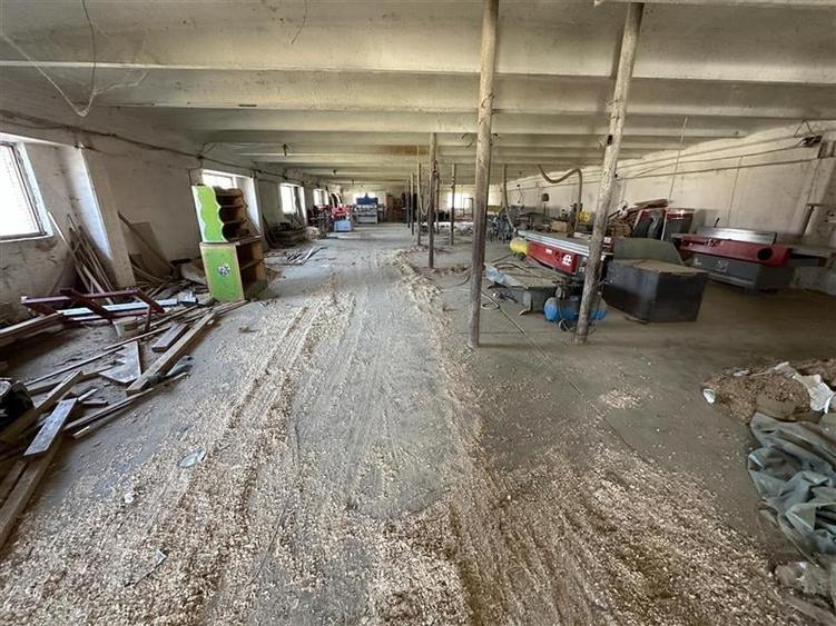 Letea Veche - Radomiresti - Hala 409 - teren 4.650mp - 5