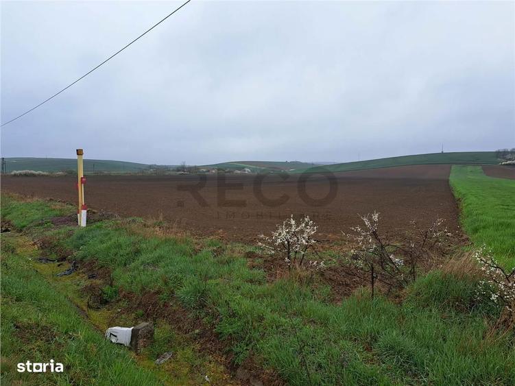 RECO teren Ghenetea 7800mp - 1