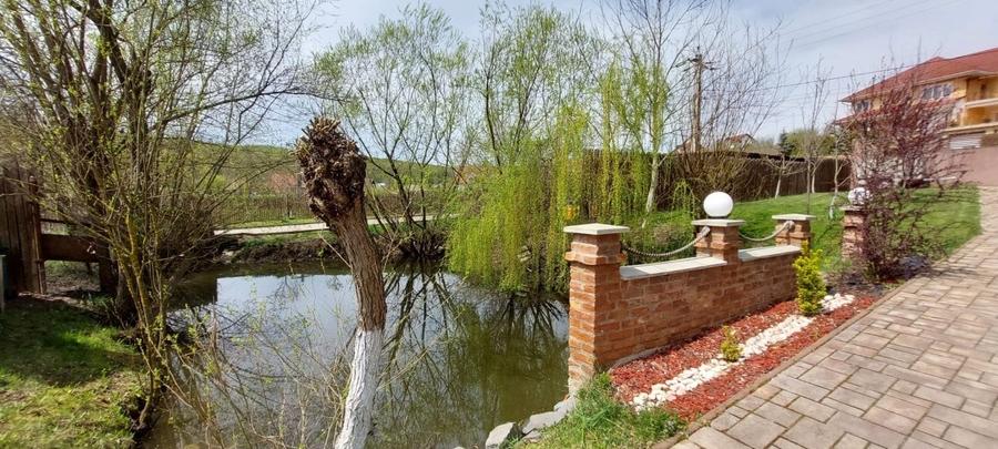 Imobilstar vinde casa in Corunca -Valea Iubirii - 7