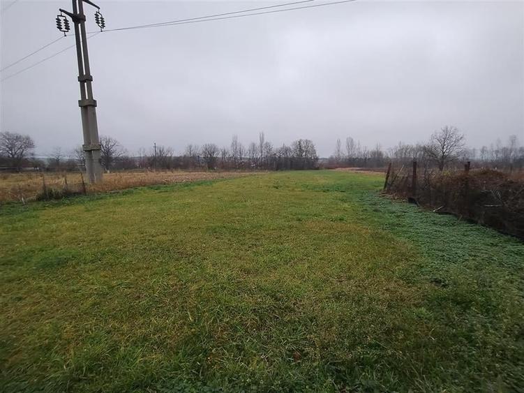 RECO Casa de vanzare in Voievozi - 16