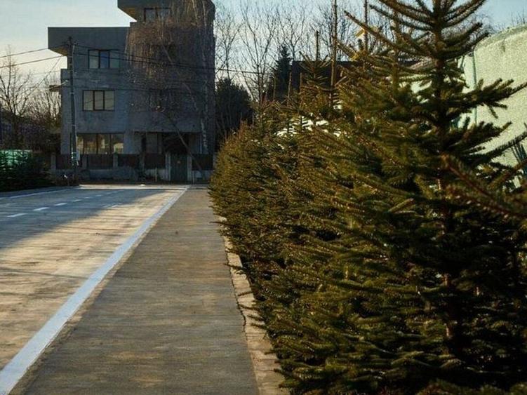 Vilă De Închiriat Premium 5 Camere | Tunari | Pipera - 14