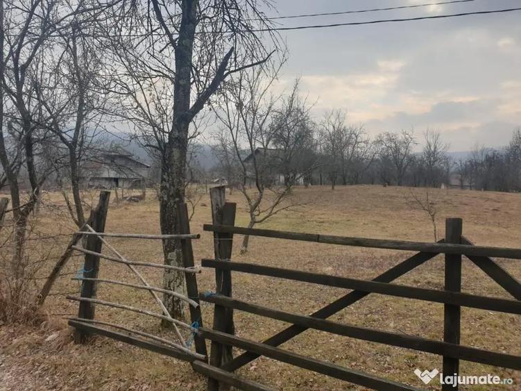 Teren intravilan 2911mp - 1