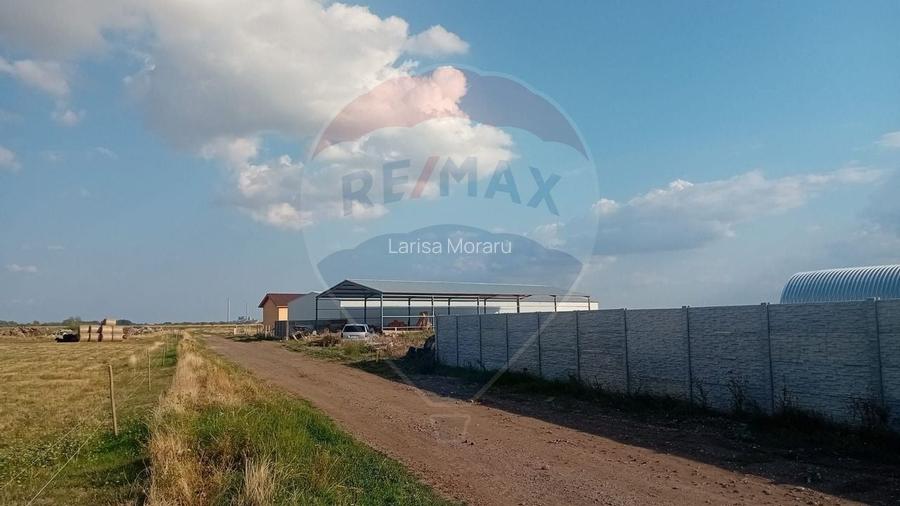 Teren extravilan cu hala construita Teren extravilan cu hala construita