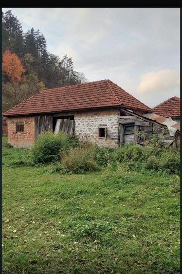 Pers fizica vand Casa +TEREN Valea Bratcutei - 5