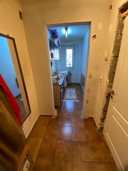 Lacul Tei x Teiul Doamnei, langa Facultatea de Constructii si Parcul Tei - 4