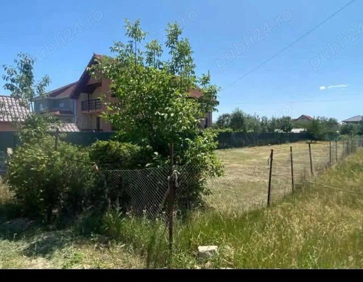 Teren 800 mp Micesti - 3