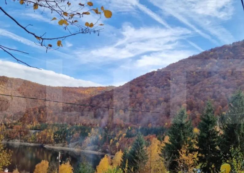 Teren extravilan 1200 mp, cu cabana, Tarnita, iesire la lac! - 2