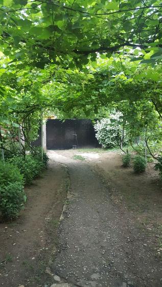 Casa la tara, Tuglui, sat Glod - 1