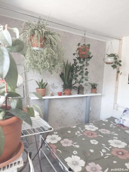 vand apartament resita - 1