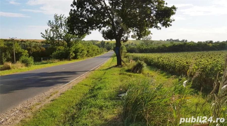 Vand teren stradal Alexandria, Teleorman - 8