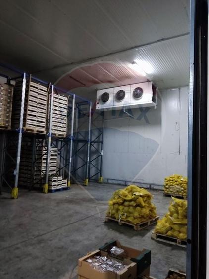 Depozit frigorific  hala ideal legume, fructe, flori - 2