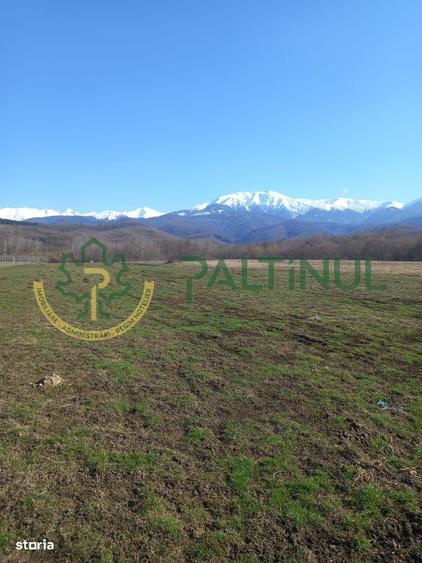 Vindem teren Sibiu, Valea Lupului, priveliste deosebita - 3