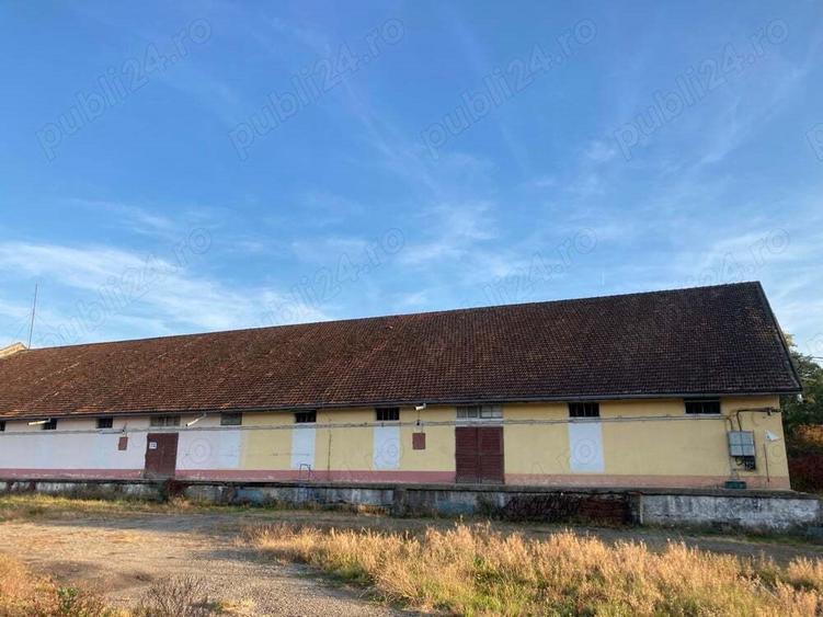 Hala de inchiriat - 4