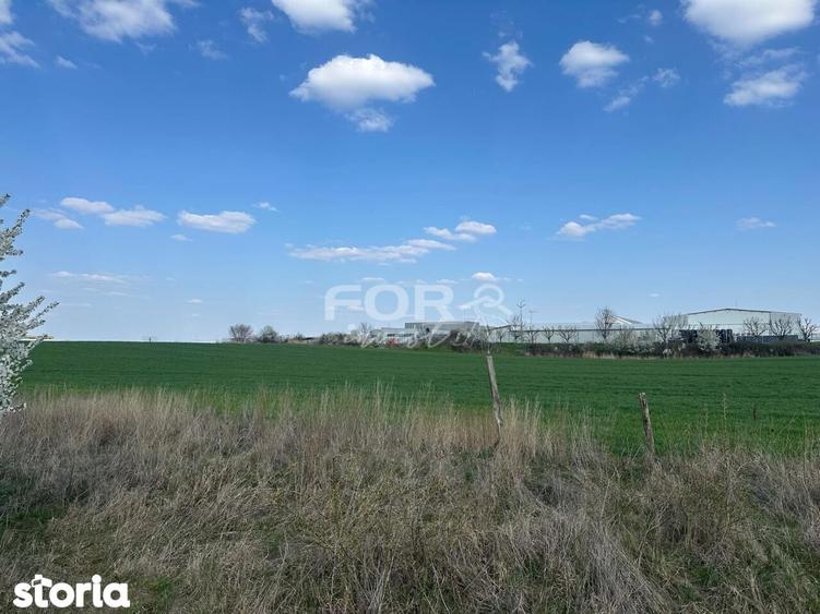 Teren intravilan de vanzare 1000 mp zona Aeroport Oradea - 1