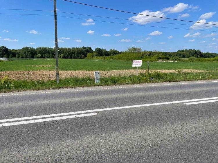 3.65 hectare teren partial intravilan Ciuperceni de vanzare, front 100 m la asfalt, ceas curent trifazic, construibil, plat - 5