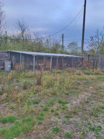 Unic proprietar vand teren intravilan+casa+anexa +teren extravil - 2