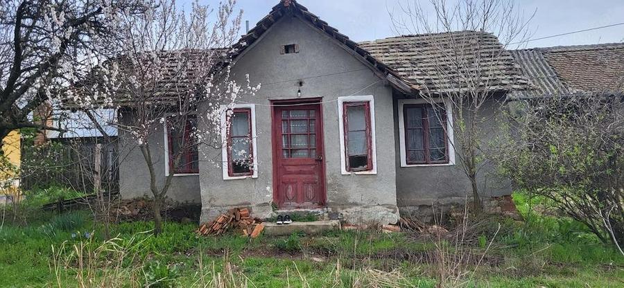 Teren 2000 mp Pleni?a ideal pentru construc?ie, pozi?ie buna cu 2 case batrane?ti - 3