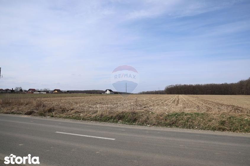 Teren 9,740mp Suceava / Strada Principala - 8