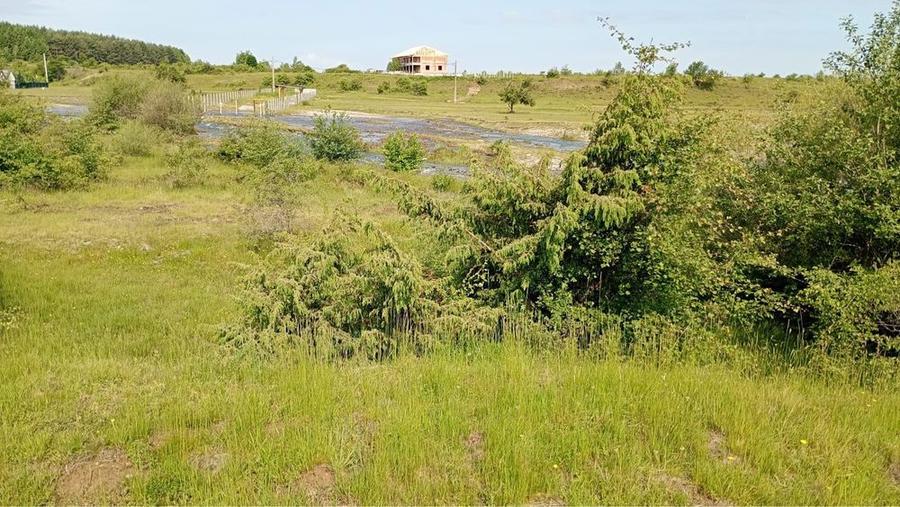 Teren de vanzare - 4