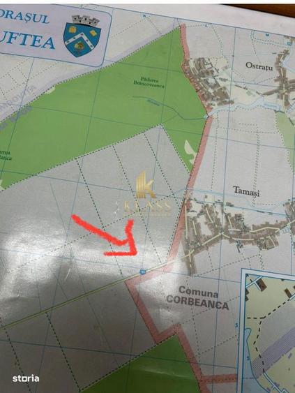 Teren Arabil 1.7 Ha Localizare Strategica intre Buftea si Corbeanc - 3